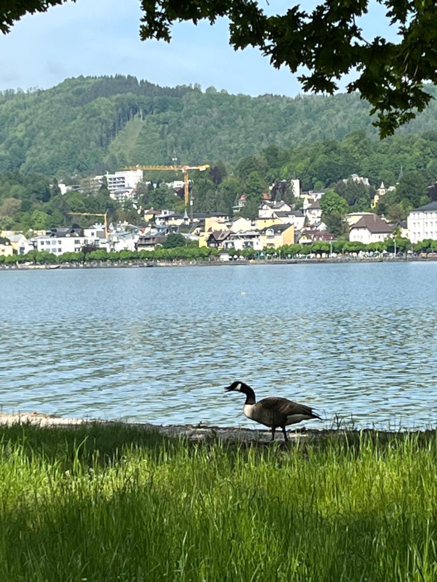 Altstadtjuwel In Gmunden Am Traunsee Экстерьер фото